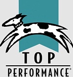 Top Performance